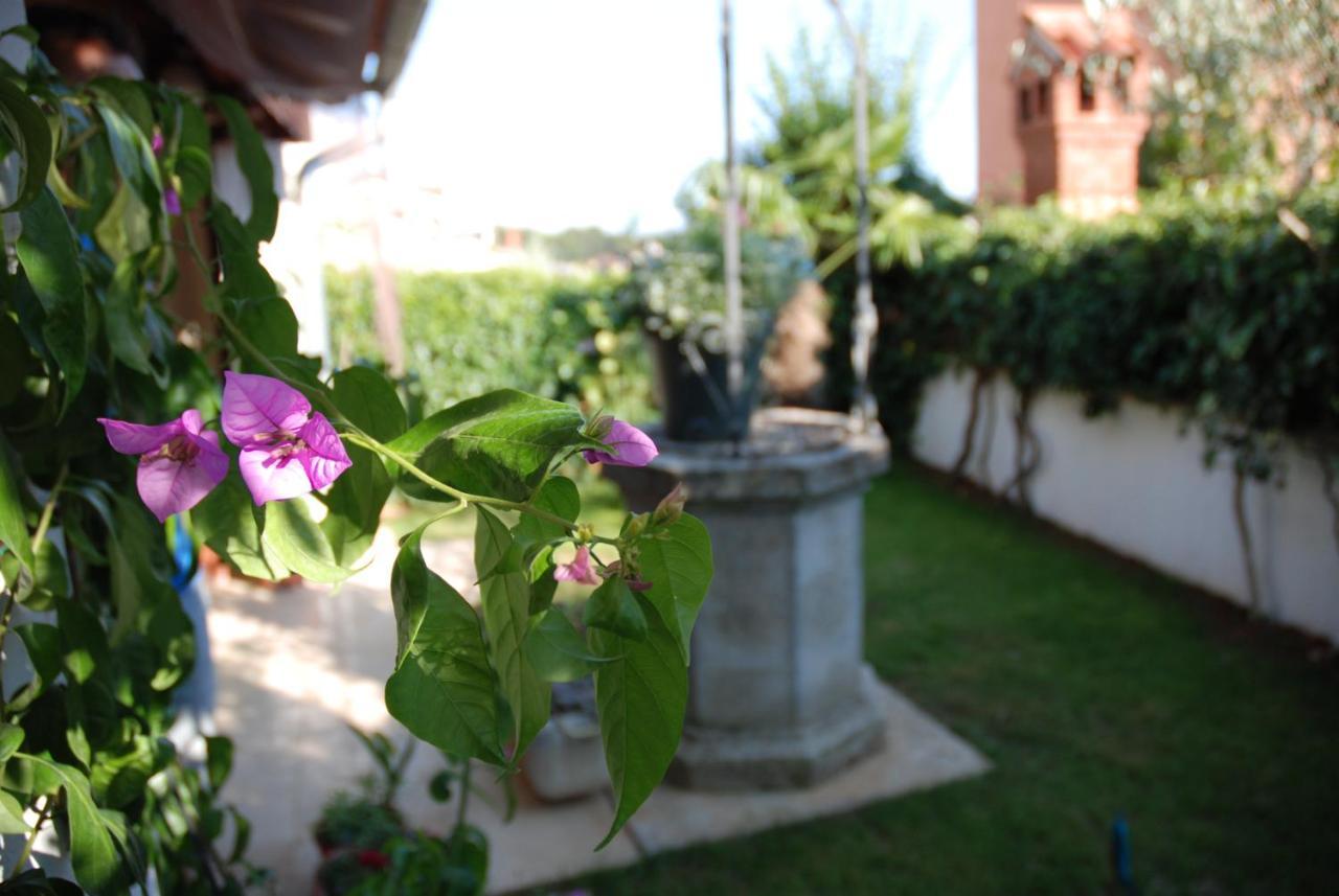 B&B Sea Joy Rovinj Exterior photo
